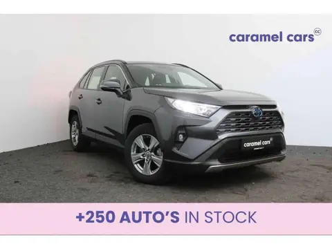 Used TOYOTA RAV4 Hybrid 2023 Ad 