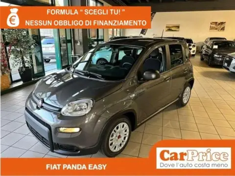 Annonce FIAT PANDA Hybride 2024 d'occasion 