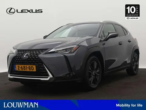 Used LEXUS UX Hybrid 2022 Ad 