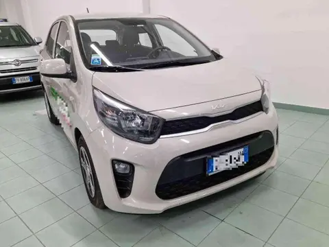 Used KIA PICANTO Petrol 2023 Ad 