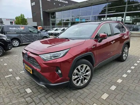 Used TOYOTA RAV4 Hybrid 2020 Ad 