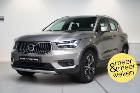 Used VOLVO XC40 Hybrid 2020 Ad 