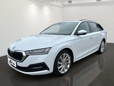 Annonce SKODA OCTAVIA Hybride 2021 d'occasion 