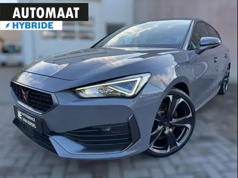 Annonce CUPRA LEON Hybride 2022 d'occasion 