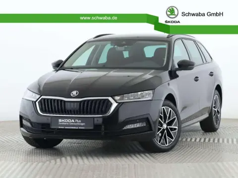 Used SKODA OCTAVIA Petrol 2024 Ad 