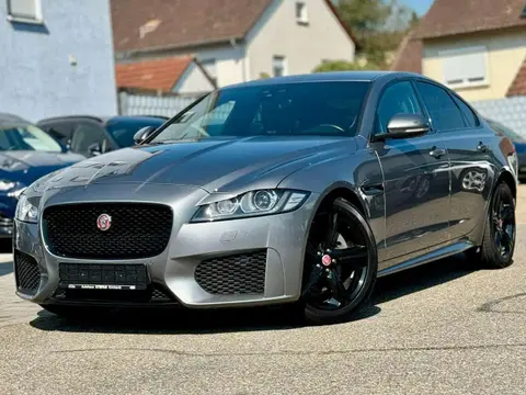 Annonce JAGUAR XF Diesel 2019 d'occasion 