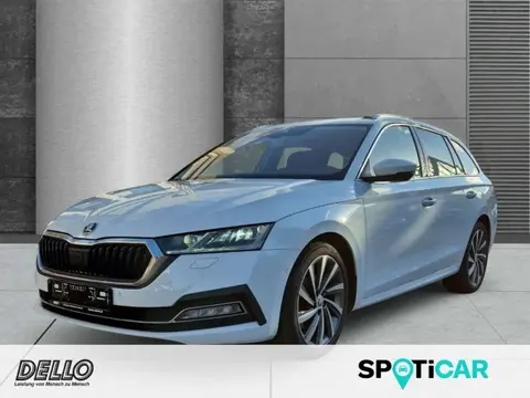 Annonce SKODA OCTAVIA Diesel 2021 d'occasion 