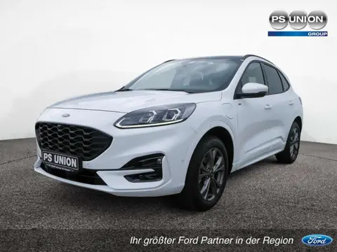 Used FORD KUGA Hybrid 2022 Ad 