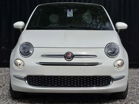 Used FIAT 500 Petrol 2023 Ad 