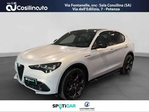 Annonce ALFA ROMEO STELVIO Diesel 2024 d'occasion 