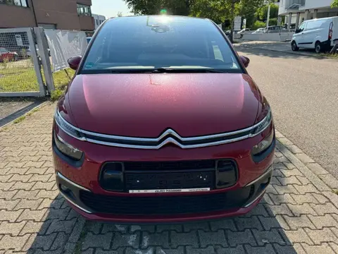 Annonce CITROEN C4 Essence 2019 d'occasion 