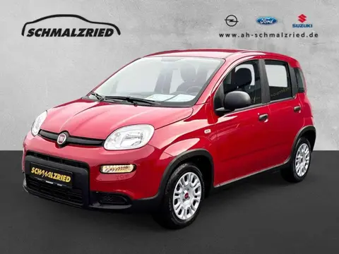 Used FIAT PANDA Hybrid 2024 Ad 