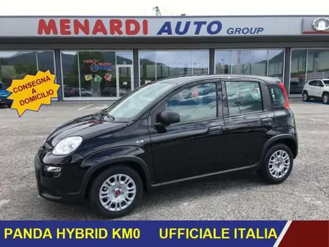 Used FIAT PANDA Hybrid 2024 Ad 