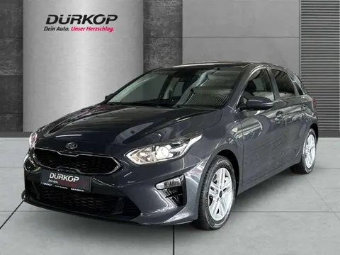 Used KIA CEED Petrol 2019 Ad 