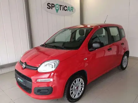 Annonce FIAT PANDA Hybride 2021 d'occasion 