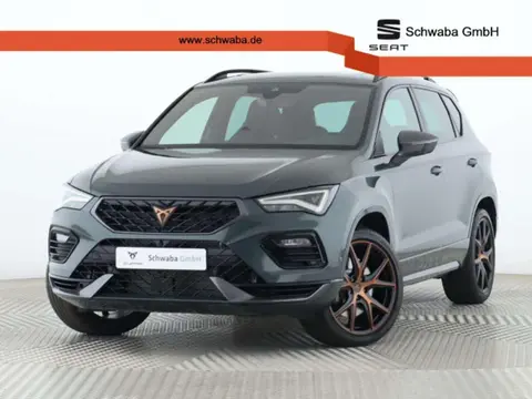 Annonce CUPRA ATECA Essence 2024 d'occasion 