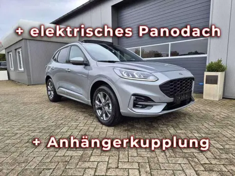 Used FORD KUGA Hybrid 2024 Ad 