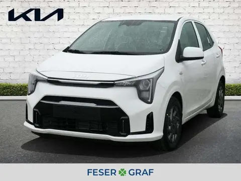 Used KIA PICANTO Petrol 2024 Ad 