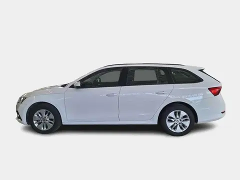 Used SKODA OCTAVIA Diesel 2021 Ad 