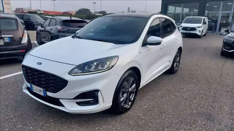 Annonce FORD KUGA Hybride 2022 d'occasion 