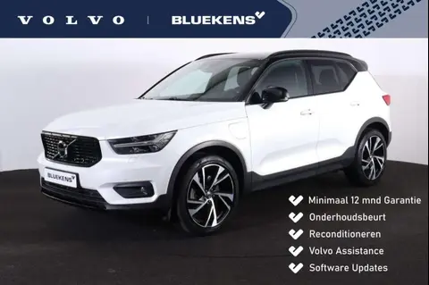 Used VOLVO XC40 Hybrid 2021 Ad 