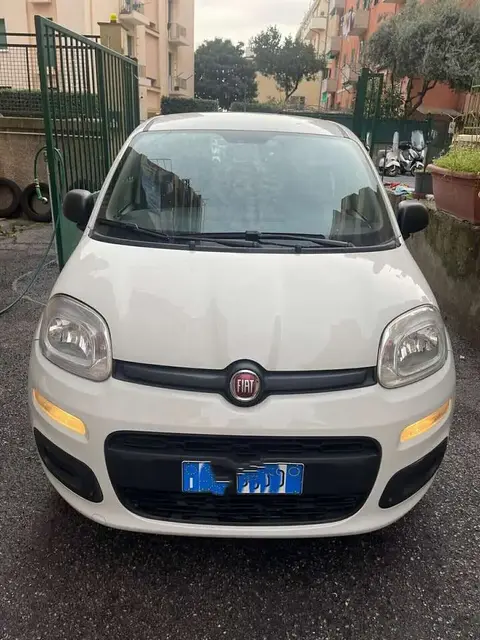 Used FIAT PANDA Petrol 2018 Ad 