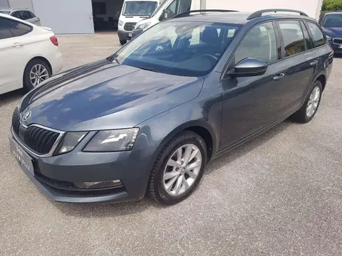 Annonce SKODA OCTAVIA Diesel 2019 d'occasion 