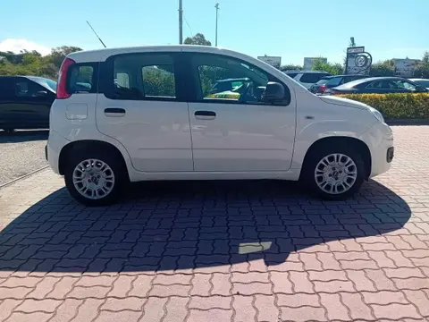 Annonce FIAT PANDA Essence 2019 d'occasion 