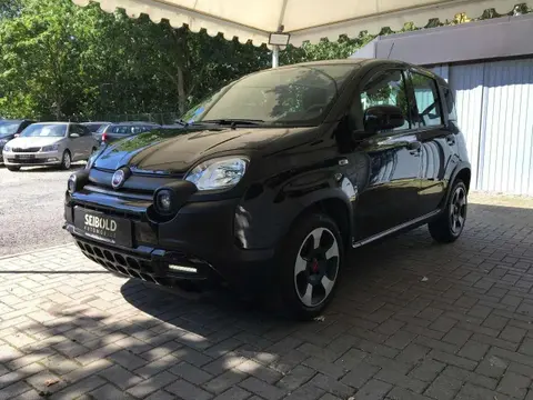 Used FIAT PANDA Hybrid 2023 Ad 