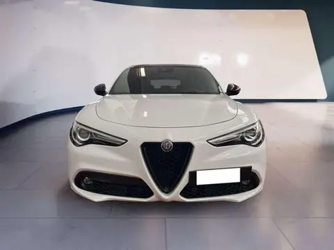 Used ALFA ROMEO STELVIO Diesel 2022 Ad 