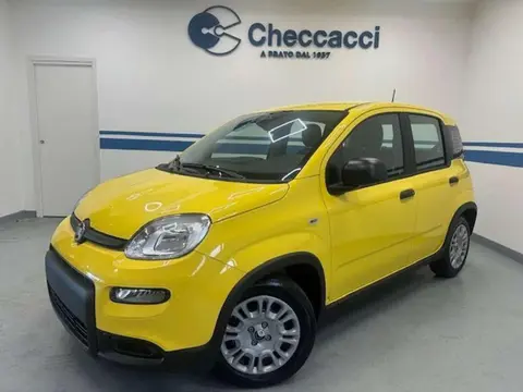 Used FIAT PANDA Hybrid 2024 Ad 