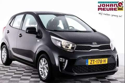 Used KIA PICANTO Petrol 2019 Ad 