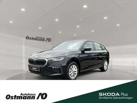 Annonce SKODA SCALA Essence 2024 d'occasion 