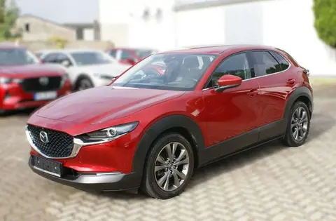 Annonce MAZDA CX-30 Essence 2020 d'occasion 