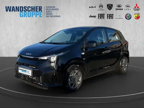 Used KIA PICANTO Petrol 2024 Ad 