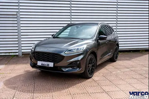 Annonce FORD KUGA Hybride 2023 d'occasion 