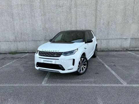 Used LAND ROVER DISCOVERY Hybrid 2020 Ad 