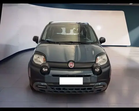 Used FIAT PANDA Hybrid 2021 Ad 