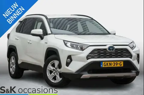 Used TOYOTA RAV4 Hybrid 2021 Ad 