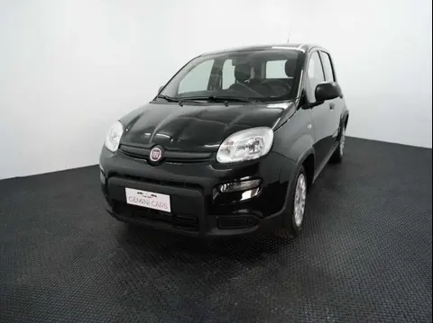 Annonce FIAT PANDA Hybride 2024 d'occasion 