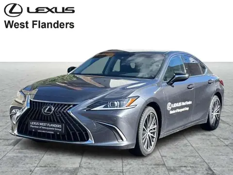 Annonce LEXUS ES Hybride 2024 d'occasion 