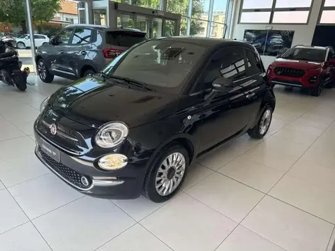 Used FIAT 500 Hybrid 2023 Ad 