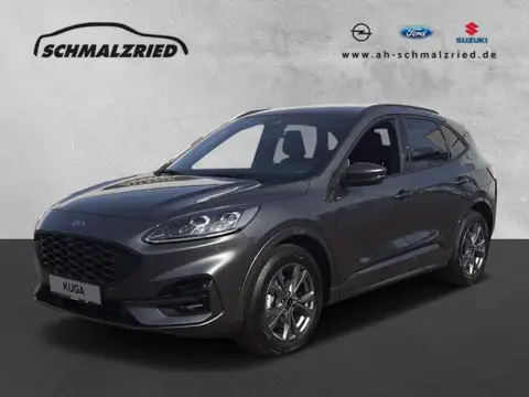 Annonce FORD KUGA Hybride 2024 d'occasion 