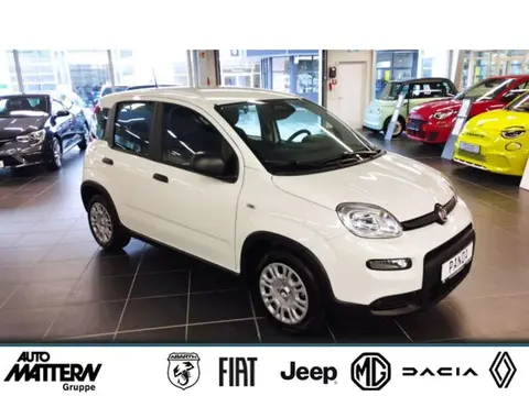 Annonce FIAT PANDA Essence 2024 d'occasion 