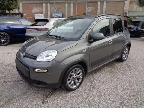 Used FIAT PANDA Hybrid 2022 Ad 