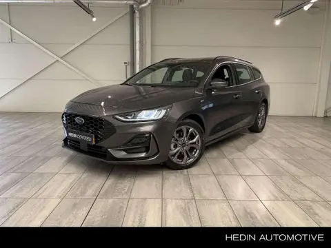 Annonce FORD FOCUS Hybride 2023 d'occasion 