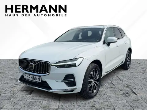 Annonce VOLVO XC60 Diesel 2022 d'occasion 