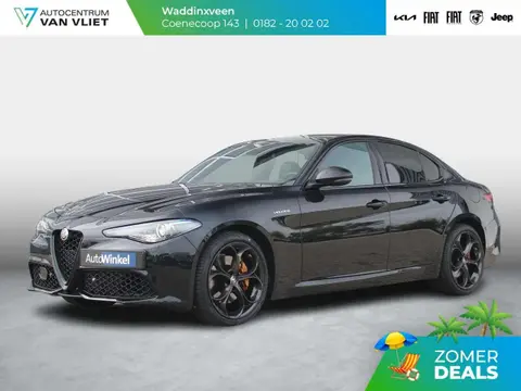 Used ALFA ROMEO GIULIA Petrol 2022 Ad 