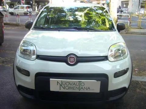 Used FIAT PANDA LPG 2024 Ad 