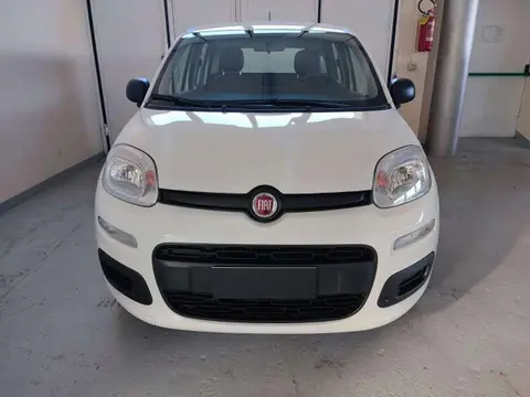 Annonce FIAT PANDA Hybride 2021 d'occasion 